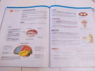 BIOLOGIA Y GEOLOGIA II