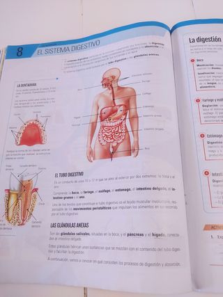 BIOLOGIA Y GEOLOGIA II