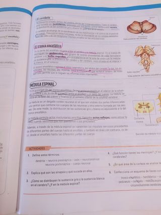 BIOLOGIA Y GEOLOGIA II