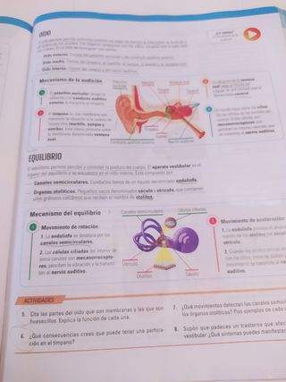 BIOLOGIA Y GEOLOGIA II