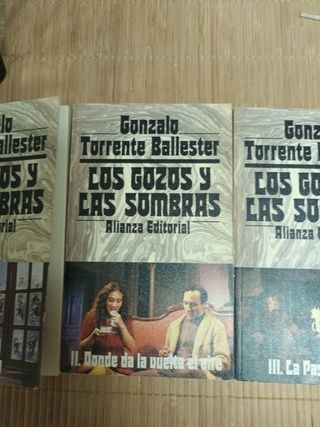 Los gozos y las sombras