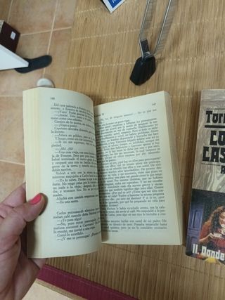 Los gozos y las sombras