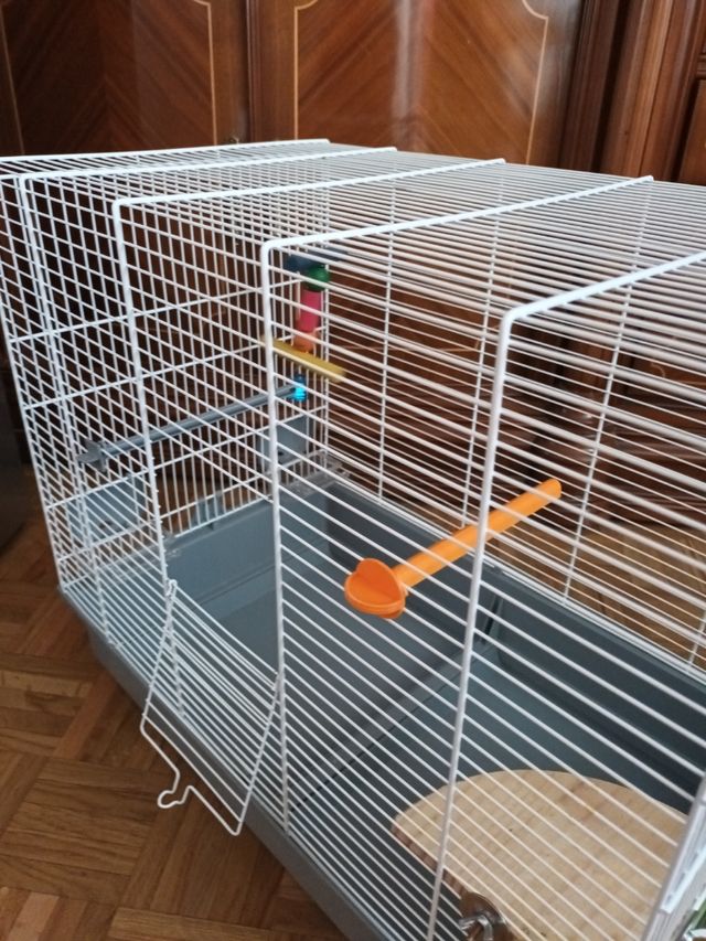 Jaula pájaros - Jaula animales pequeña