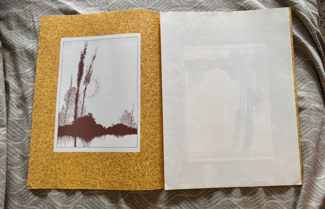 Tapas de la Revista Integral y Estuche