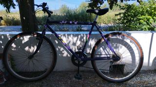 Bicicleta montaña vintage