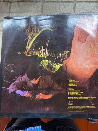 Echo & The Bunnymen - LP 33 giri