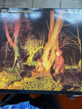 Echo & The Bunnymen - LP 33 giri