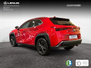 Lexus UX 2.0 250h Business