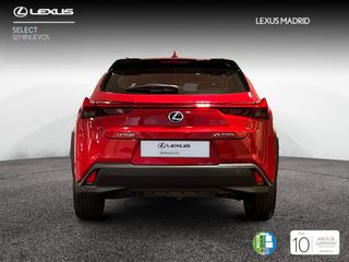 Lexus UX 2.0 250h Business