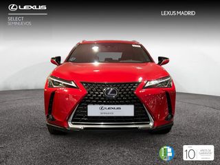 Lexus UX 2.0 250h Business