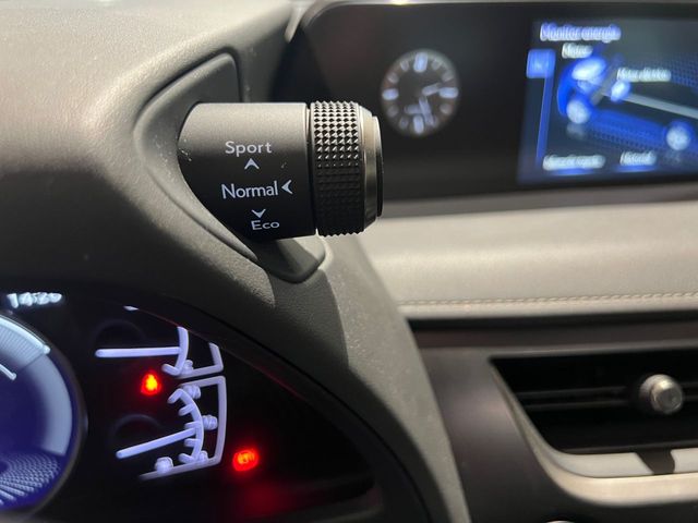 Lexus UX 2.0 250h Business