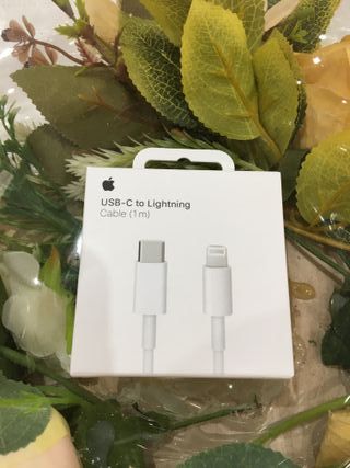 Cavo USB-C Lightning Apple (1m)
