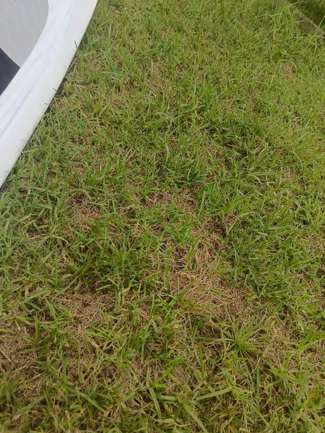 Tabla Wing Foil Armstrong