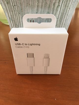 Cavo USB-C - Lightning Apple (1m)