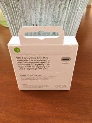 Cavo USB-C - Lightning Apple (1m)