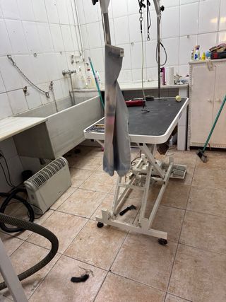 Traspaso Peluquería Canina
