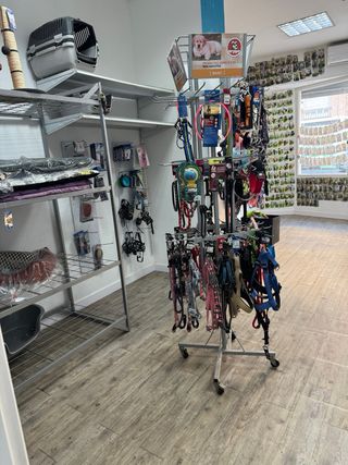 Traspaso Peluquería Canina