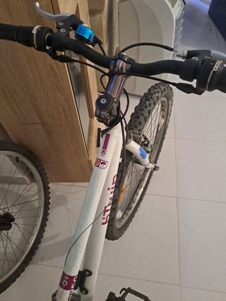 Bicicleta bitwin 