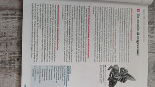 ISBN 9788808920508 - L'ora di Storia 1 + atlante