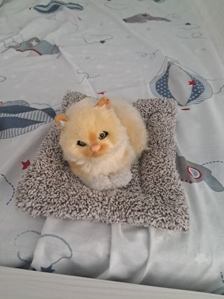 Gato de peluche suave y maulla.
