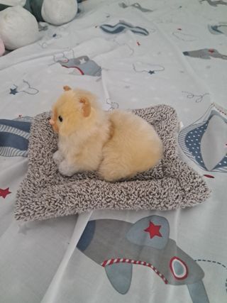 Gato de peluche suave y maulla.
