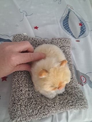 Gato de peluche suave y maulla.
