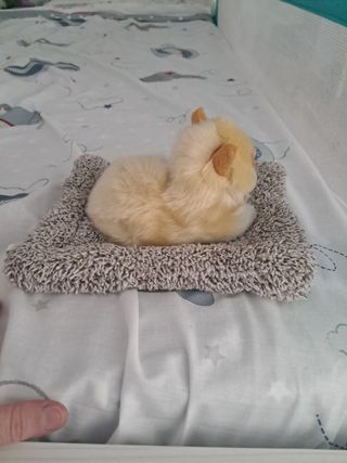 Gato de peluche suave y maulla.
