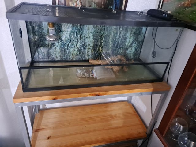 Terrario con mueble - 3 niveles