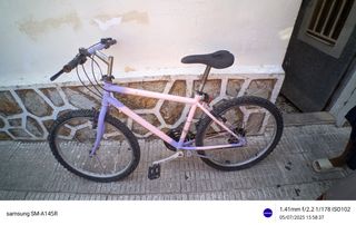 Bicicleta rosa