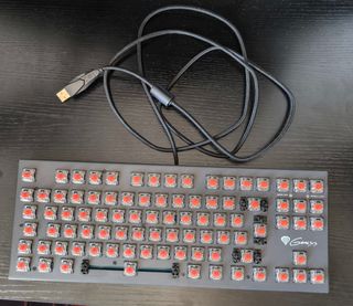 Teclado mecánico Genesis Thor 300 TKL