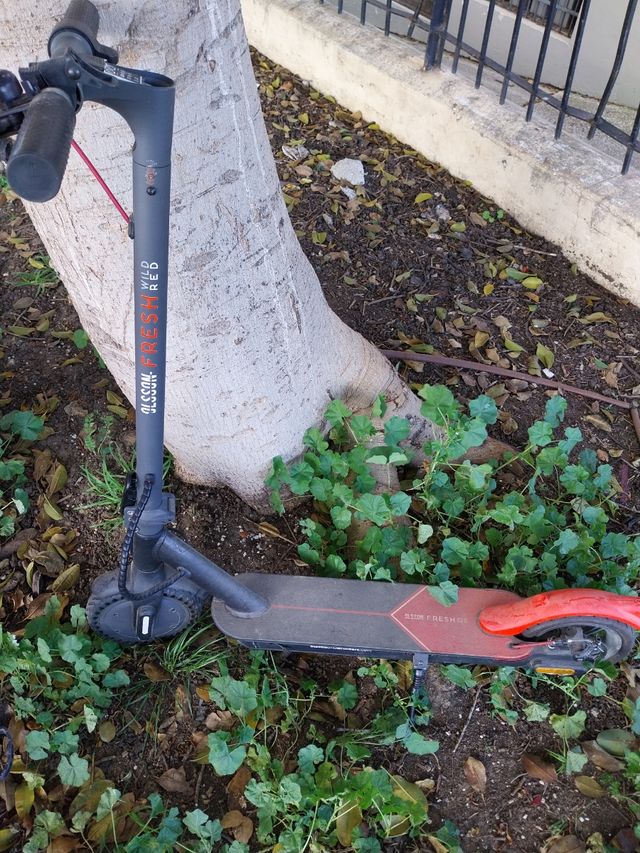 Patinete eléctrico ocasión