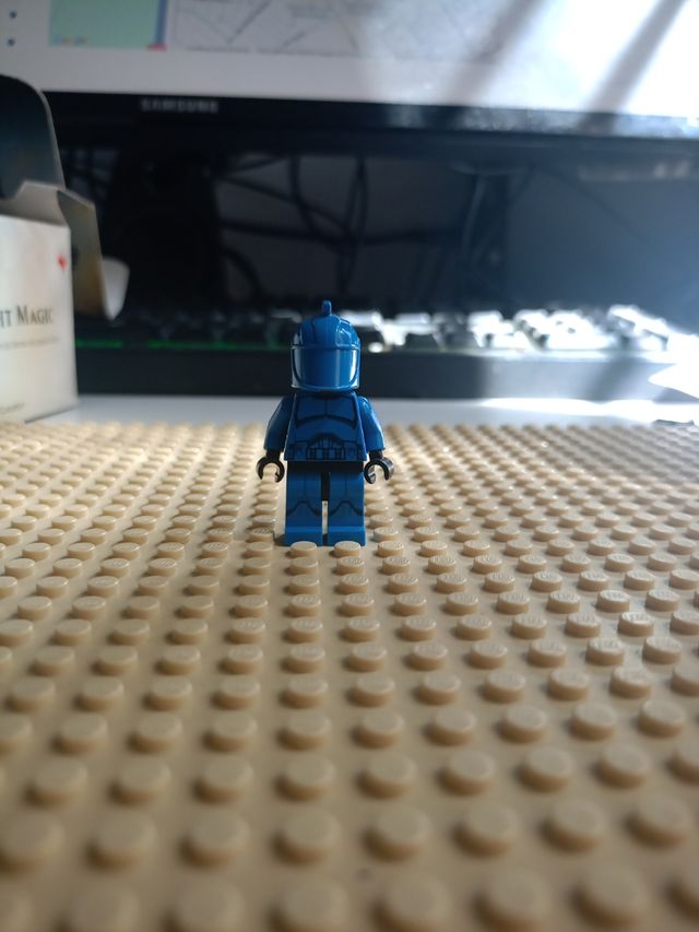 Capitán Comando del Senado Fallo de imprenta 