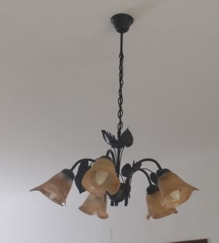 Lámpara techo 5 luces - Moderna