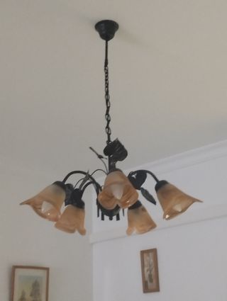 Lámpara techo 5 luces - Moderna