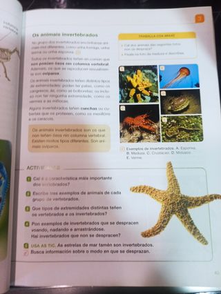Ciencias Da Natureza, 4 Primaria