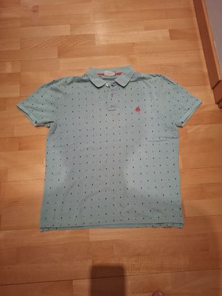 Polo Springfield - Verde Agua