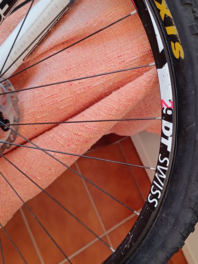 Llantas dt swiss CSW MA 29 pulgadas