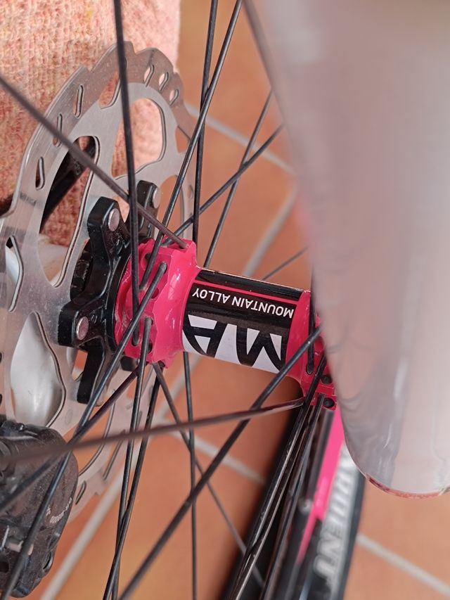 Llantas dt swiss CSW MA 29 pulgadas