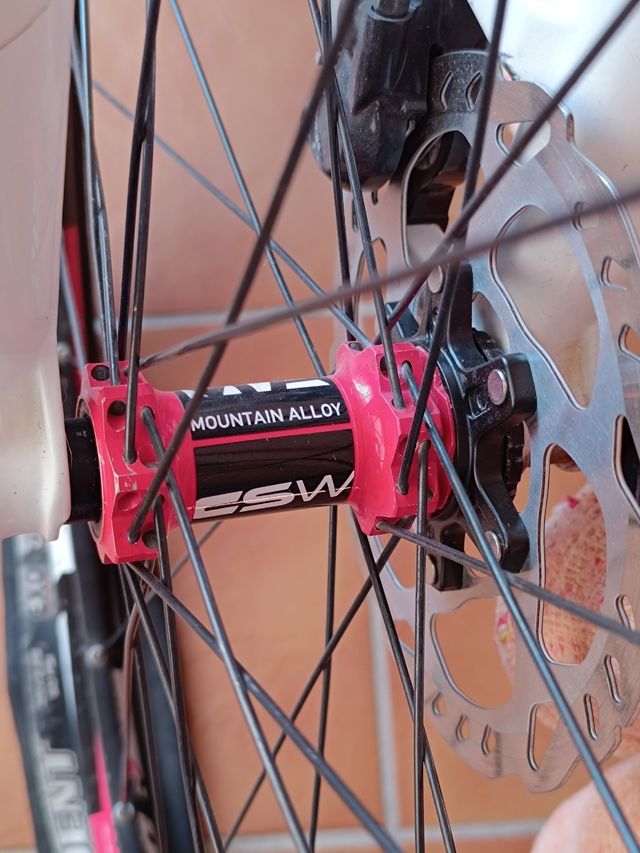 Llantas dt swiss CSW MA 29 pulgadas