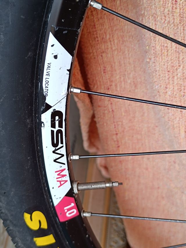 Llantas dt swiss CSW MA 29 pulgadas