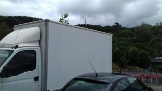 Desalojos y limpiezas económicas