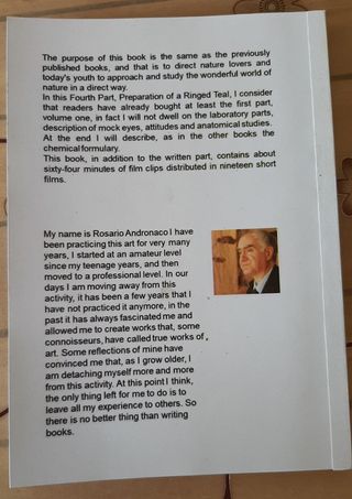 Ringed teal Taxidermy