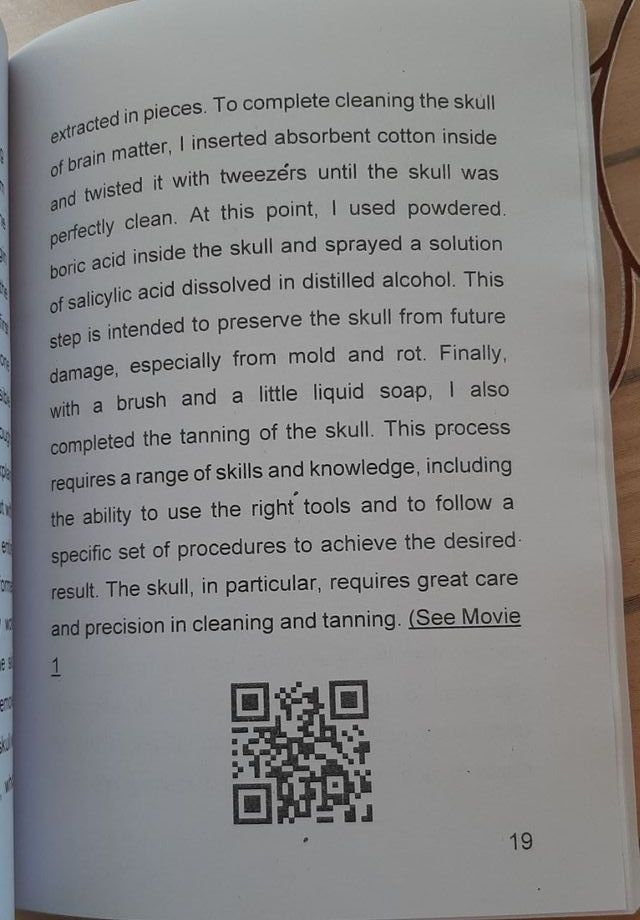 Ringed teal Taxidermy Edition 2025