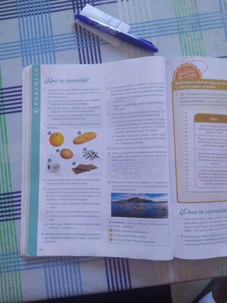 Ciencias Sociales 4.