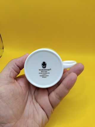 🇬🇧 Taza Wedgwood porcelana
