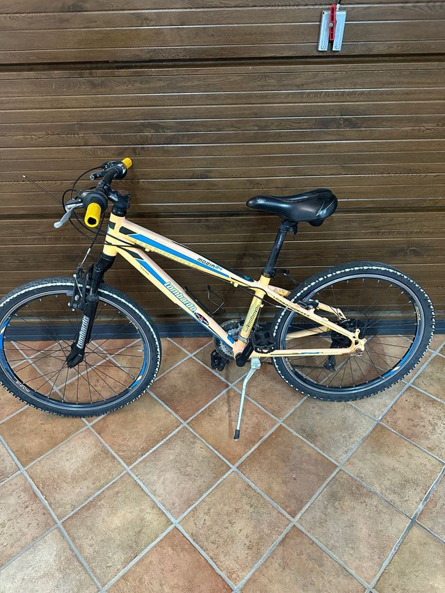 MTB Montana 24” per Ragazzi - Da sistemare