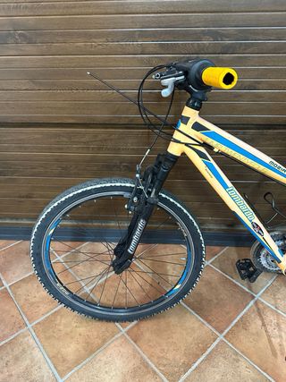 MTB Montana 24” per Ragazzi - Da sistemare