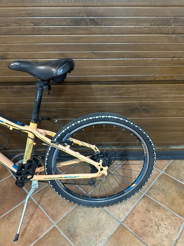 MTB Montana 24” per Ragazzi - Da sistemare