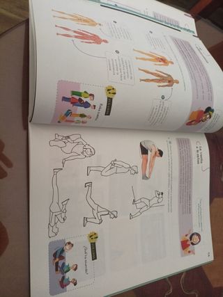Educación Física 6