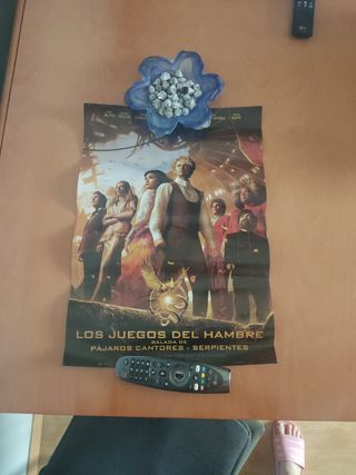 Poster Los Juegos del Hambre